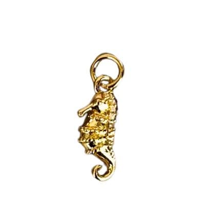 Charm Caballito de mar