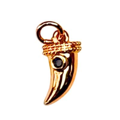 Charm Cuerno de la suerte
